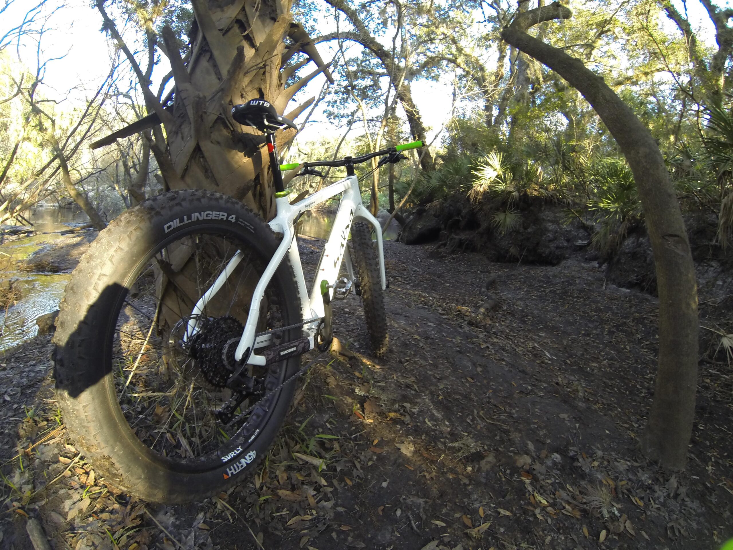 A white fat tire bicycle leaning against a tree near a muddy trail by a stream, surrounded by lush greenery and sunlight filtering through the trees. Little Big Econ State Forest mountain bike trail.