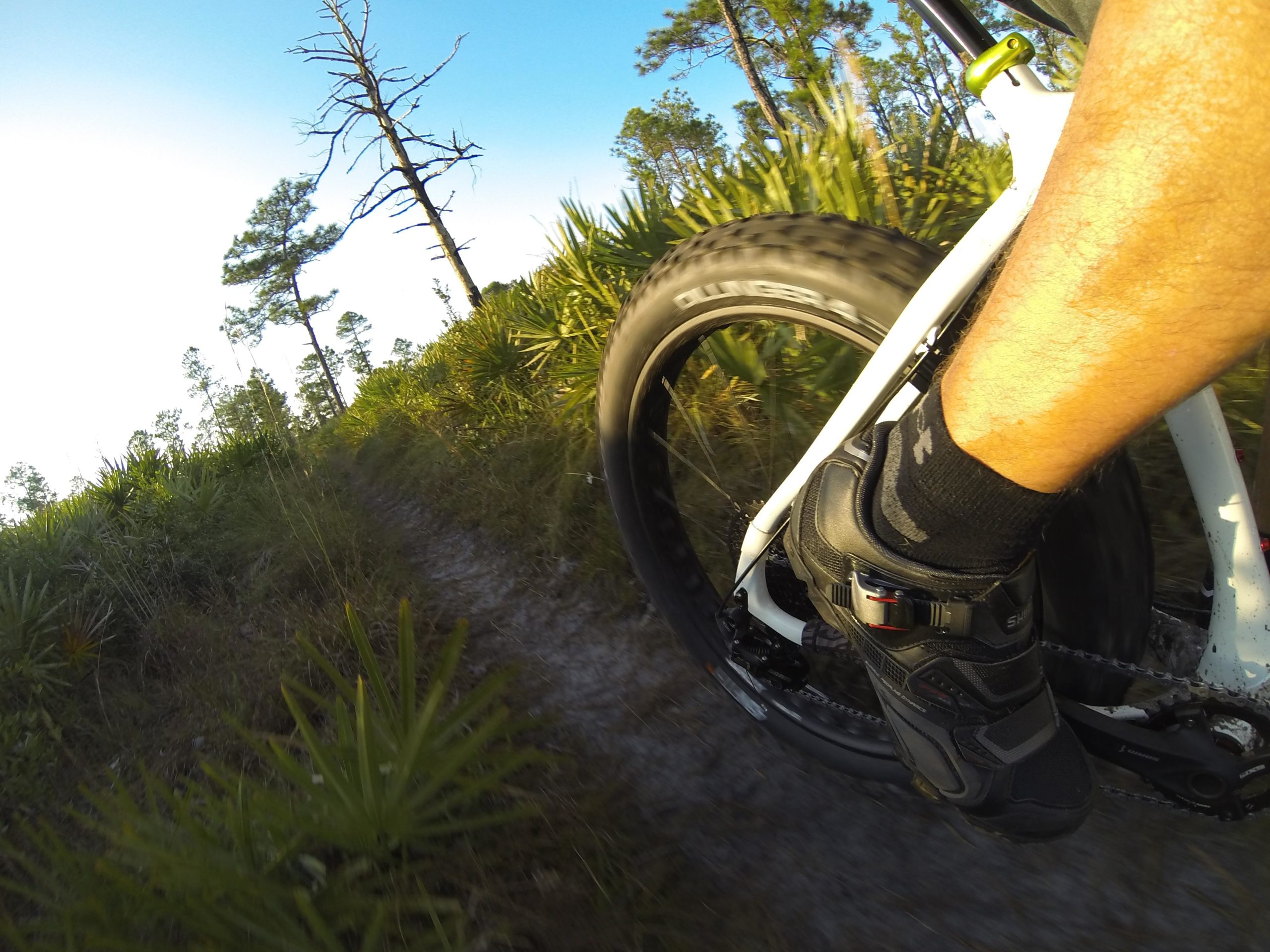A close-up view of a cyclist's leg and foot on a mountain bike, capturing the bike tire on a dirt trail surrounded by lush green vegetation and trees under a clear blue sky. Little Big Econ State Forest mountain bike trail.