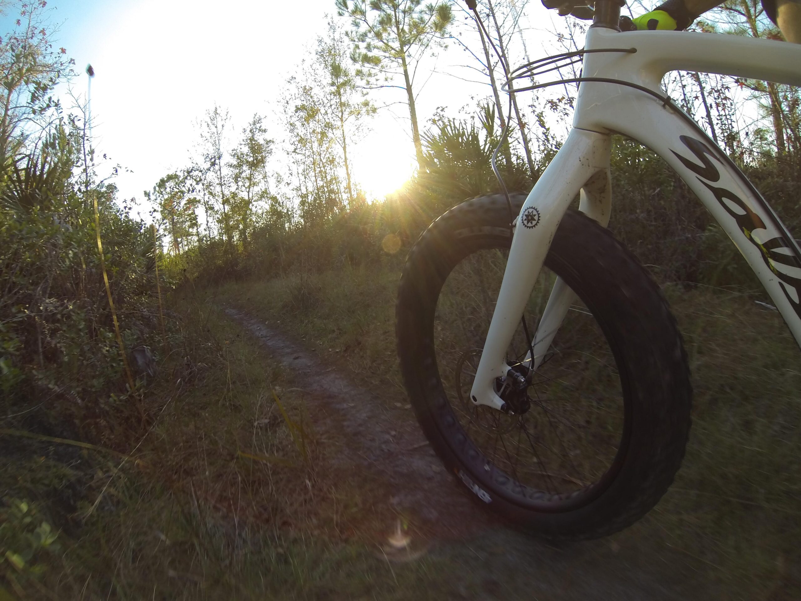 A close-up view of a white mountain bike tire on a dirt trail surrounded by greenery, with the sun setting in the background. The sunlight creates a warm glow, highlighting the path along which the bike is traveling. Little Big Econ State Forest mountain bike trail.