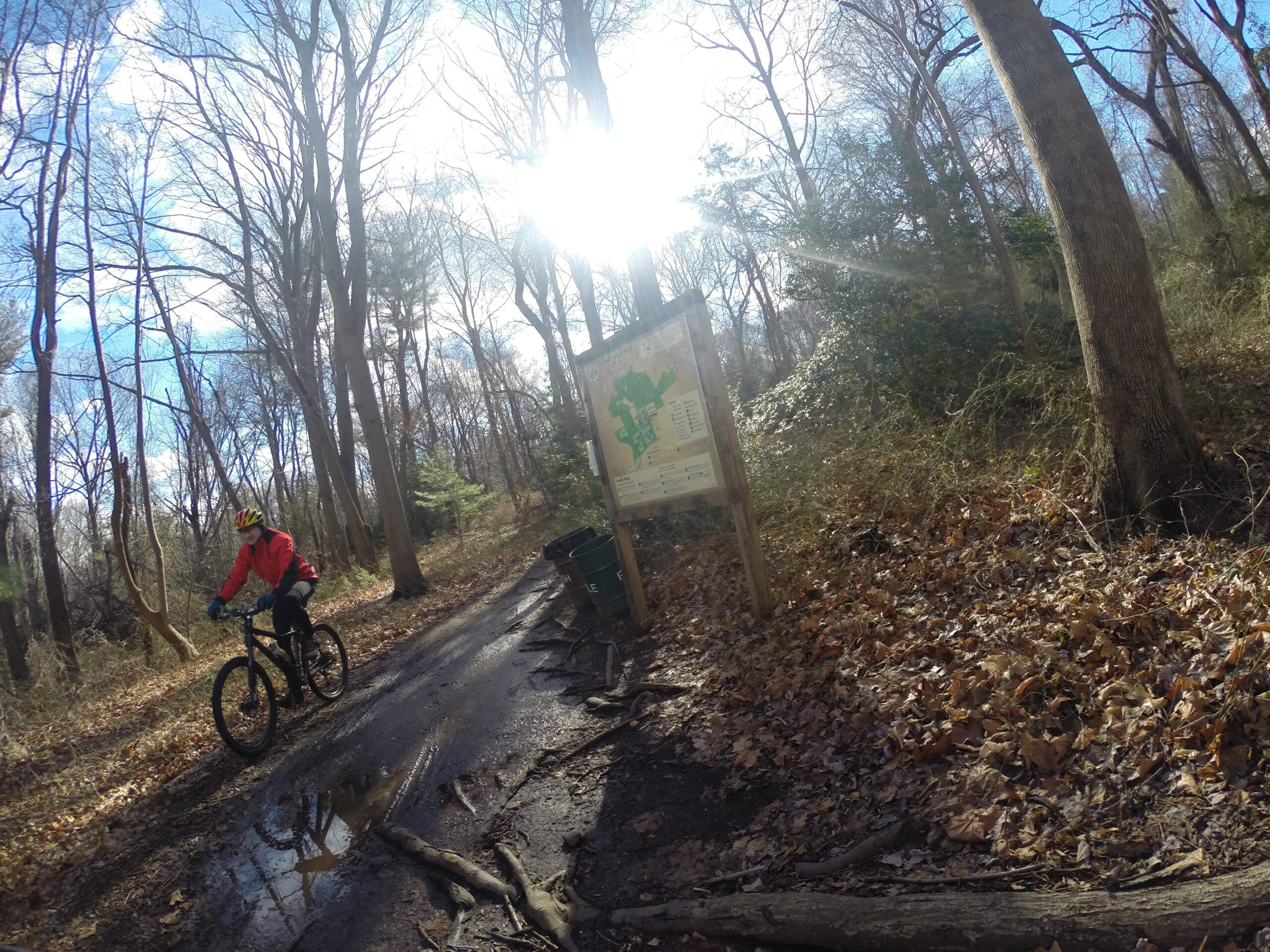 A mountain biker in a red jacket rides on a forest trail on a sunny day. Surrounding trees are bare, indicating late autumn or winter, while a trail sign is visible nearby, partially obscured by foliage. Puddles and fallen leaves cover the path, reflecting the bright sky. Huber Woods mountain bike trail.