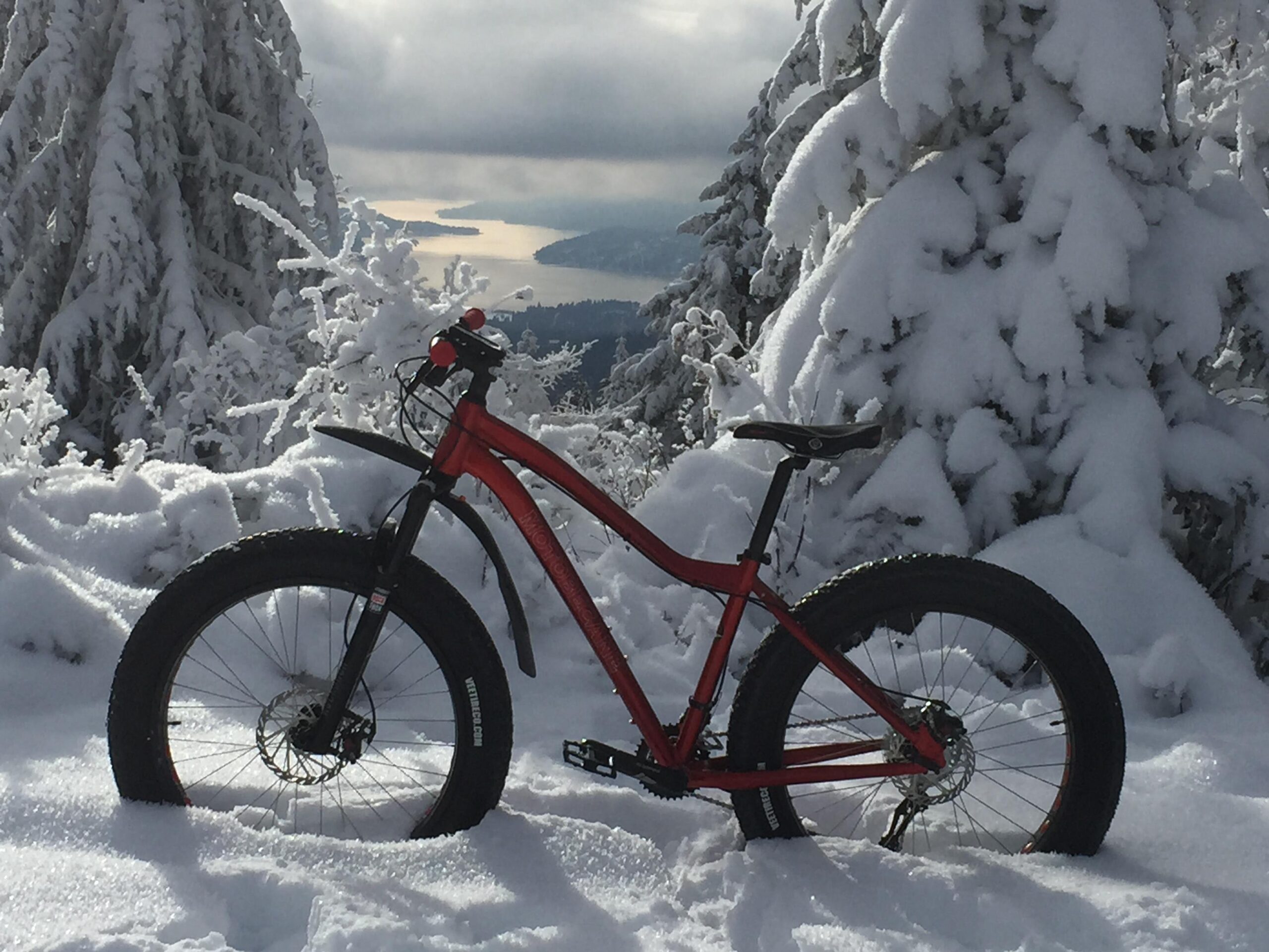 A red fat bike stands in a snowy landscape, surrounded by snow-covered trees. In the background, a glimpse of water reflects the sunlight beneath a cloudy sky. The scene conveys a serene winter atmosphere, ideal for outdoor adventures. Canfield Gulch mountain bike trail.