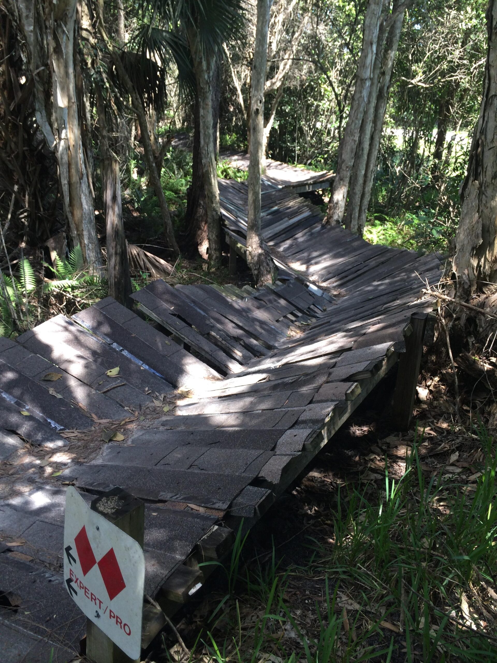 A winding wooden boardwalk trails through a lush forest, with trees and greenery on either side. The boardwalk appears worn and uneven, with sections that slope down or curve sharply. A sign marked "Expert/Pro" indicates the difficulty level of the pathway. Sunlight filters through the foliage, illuminating parts of the walk. Markham Park mountain bike trail.