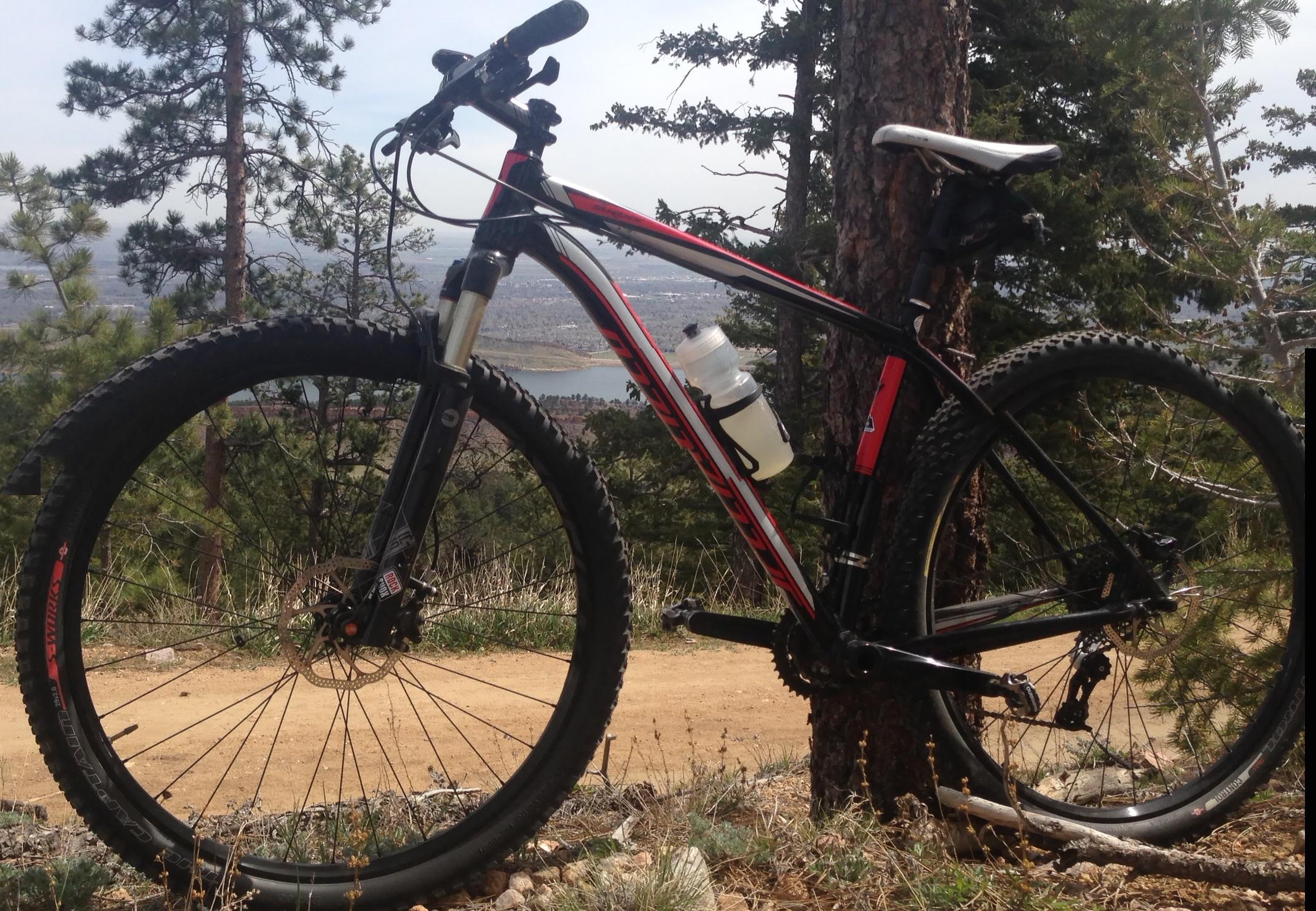 Specialized Stumpjumper: A mountain bike leaning against a tree, with a scenic view of hills and a lake in the background. The bike features black and red accents, and a water bottle is attached to the frame. The setting is surrounded by green pine trees and a dirt trail.