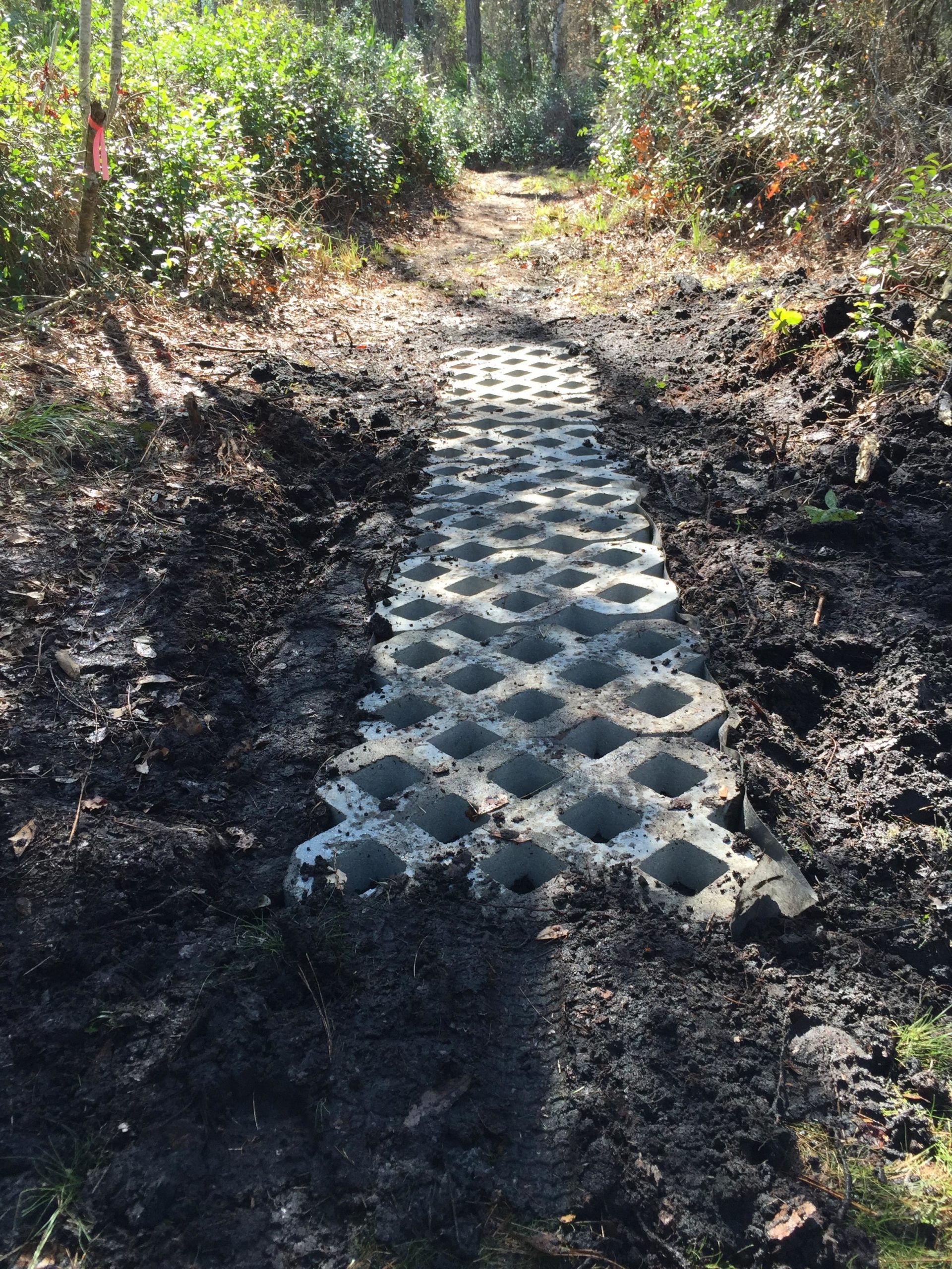 A dirt path through a wooded area, featuring a rectangular section of interlocking concrete matting placed on the ground to create a stable walking surface. Surrounding vegetation includes grasses and shrubs, with sunlight filtering through the trees. A marker with a pink ribbon can be seen on the left side of the image. Nocatee mountain bike trail.
