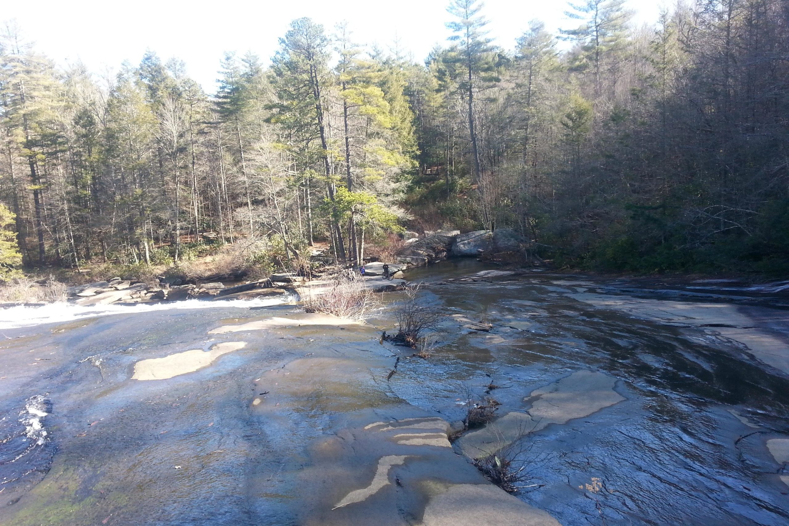 A serene landscape featuring a rocky riverbed surrounded by lush trees. The water flows gently over smooth stones, with sunlight filtering through the leaves of tall pine and deciduous trees, creating a peaceful natural scene. DuPont State Forest mountain bike trail.