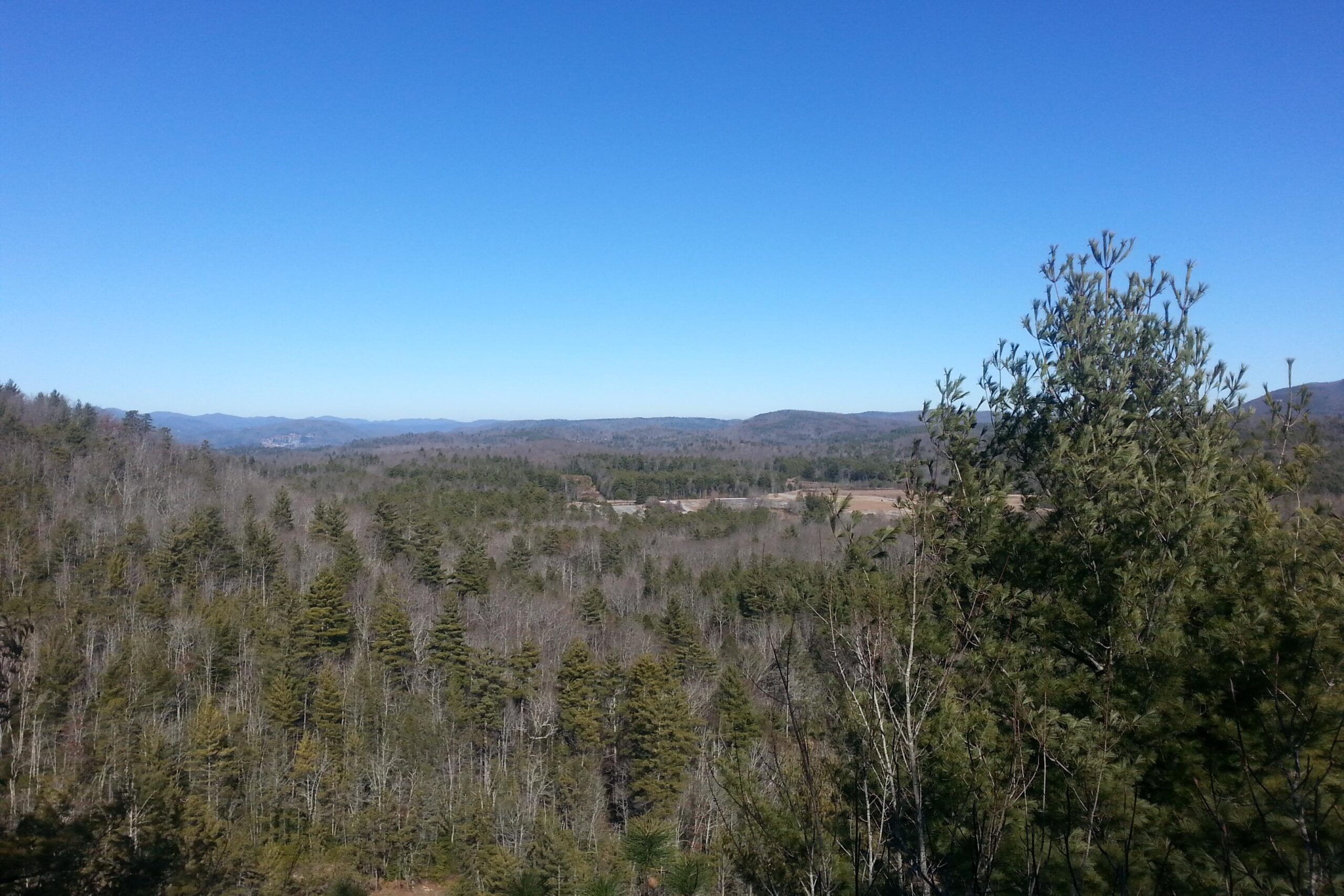 A panoramic view of a forested landscape under a clear blue sky, featuring a mix of evergreen and deciduous trees, rolling hills in the distance, and a valley below. DuPont State Forest mountain bike trail.