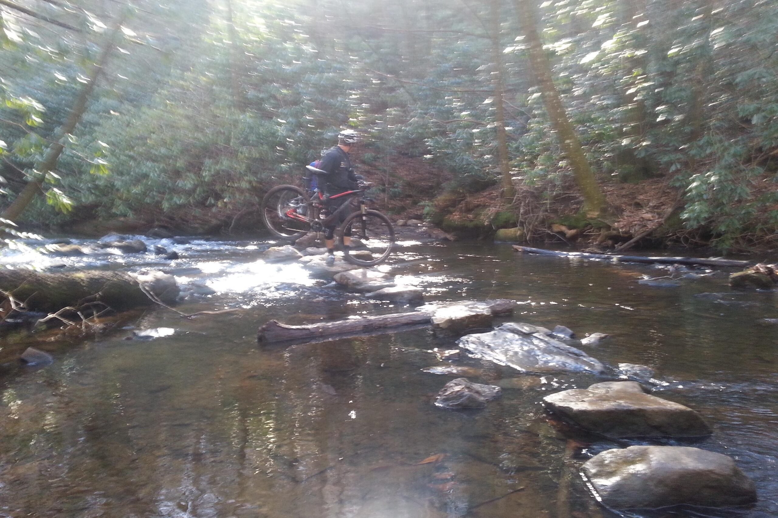 A mountain biker is balancing on a rock in a shallow stream, holding the bike while surrounded by dense greenery and dappled sunlight streaming through the trees. Sturdy rocks and fallen logs are visible in the water. DuPont State Forest mountain bike trail.