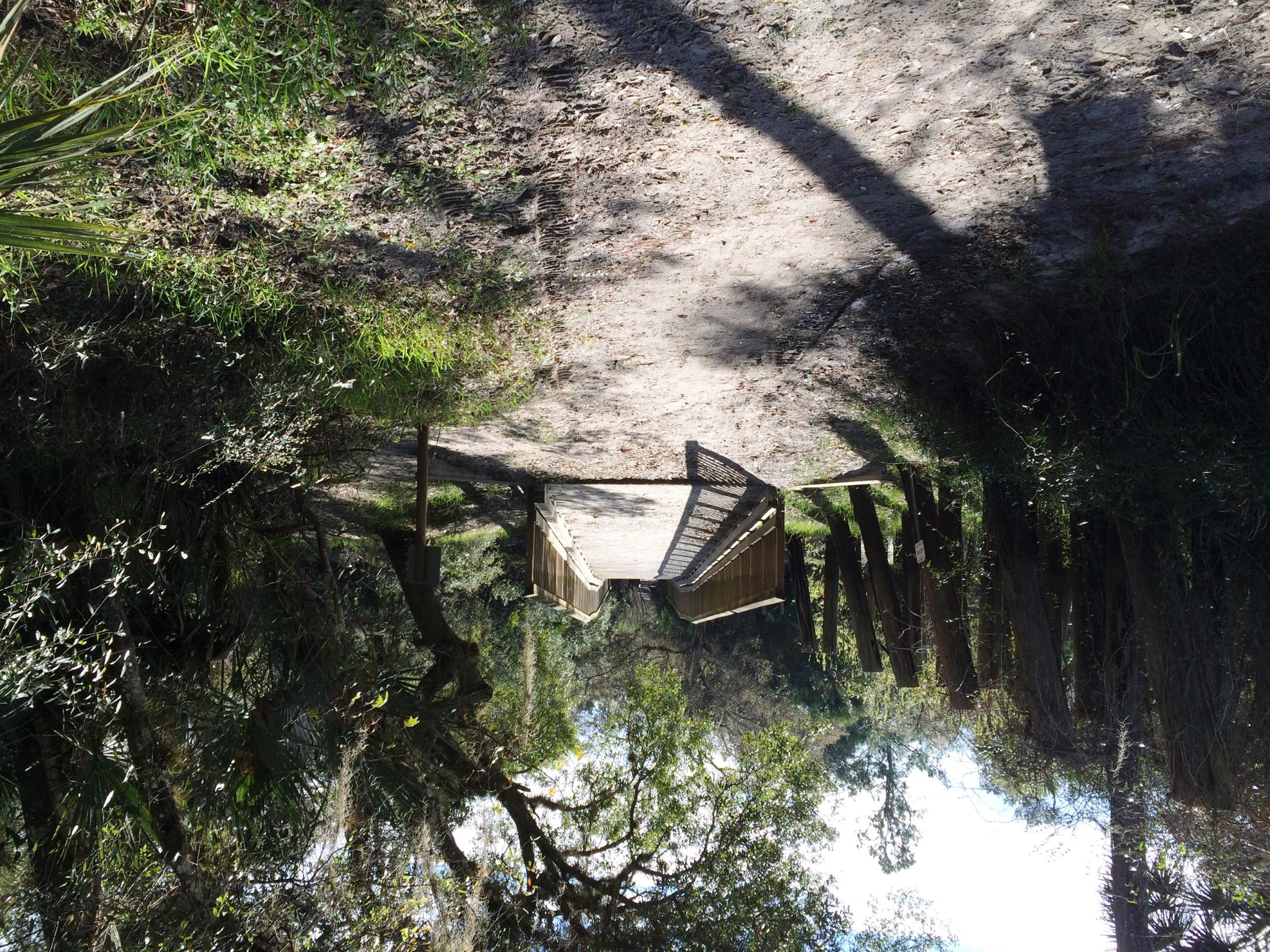 A sunlit pathway surrounded by lush greenery, leading to a wooden footbridge. The scene features tall trees, overhanging foliage, and a mixture of sandy and grassy terrain, creating a peaceful natural setting. Little Big Econ State Forest mountain bike trail.