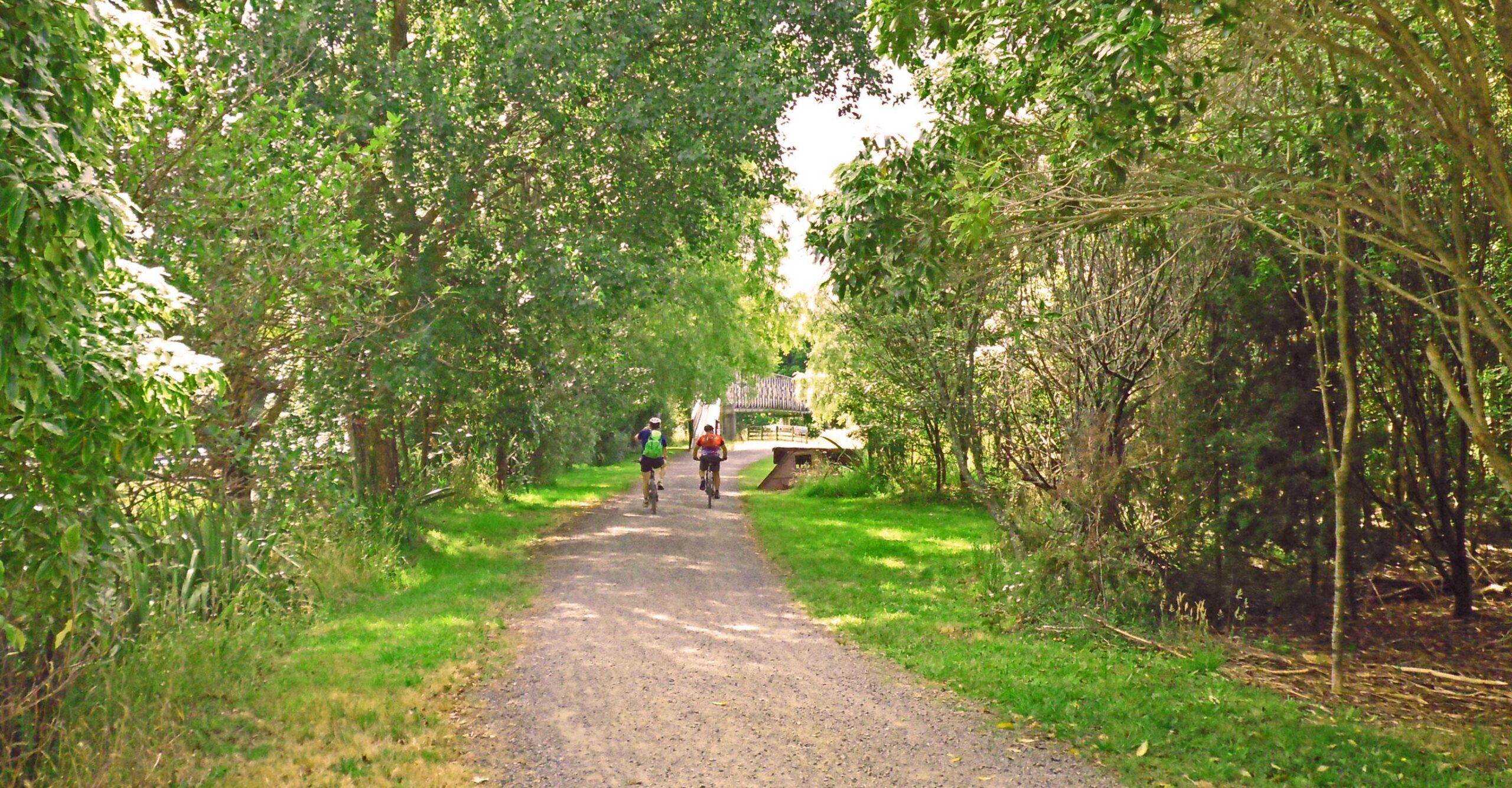 Two cyclists riding on a tree-lined gravel path surrounded by lush greenery, leading towards a wooden bridge in the distance. Sunlight filters through the leaves, creating a peaceful and natural atmosphere. Hauraki Rail Trail mountain bike trail.