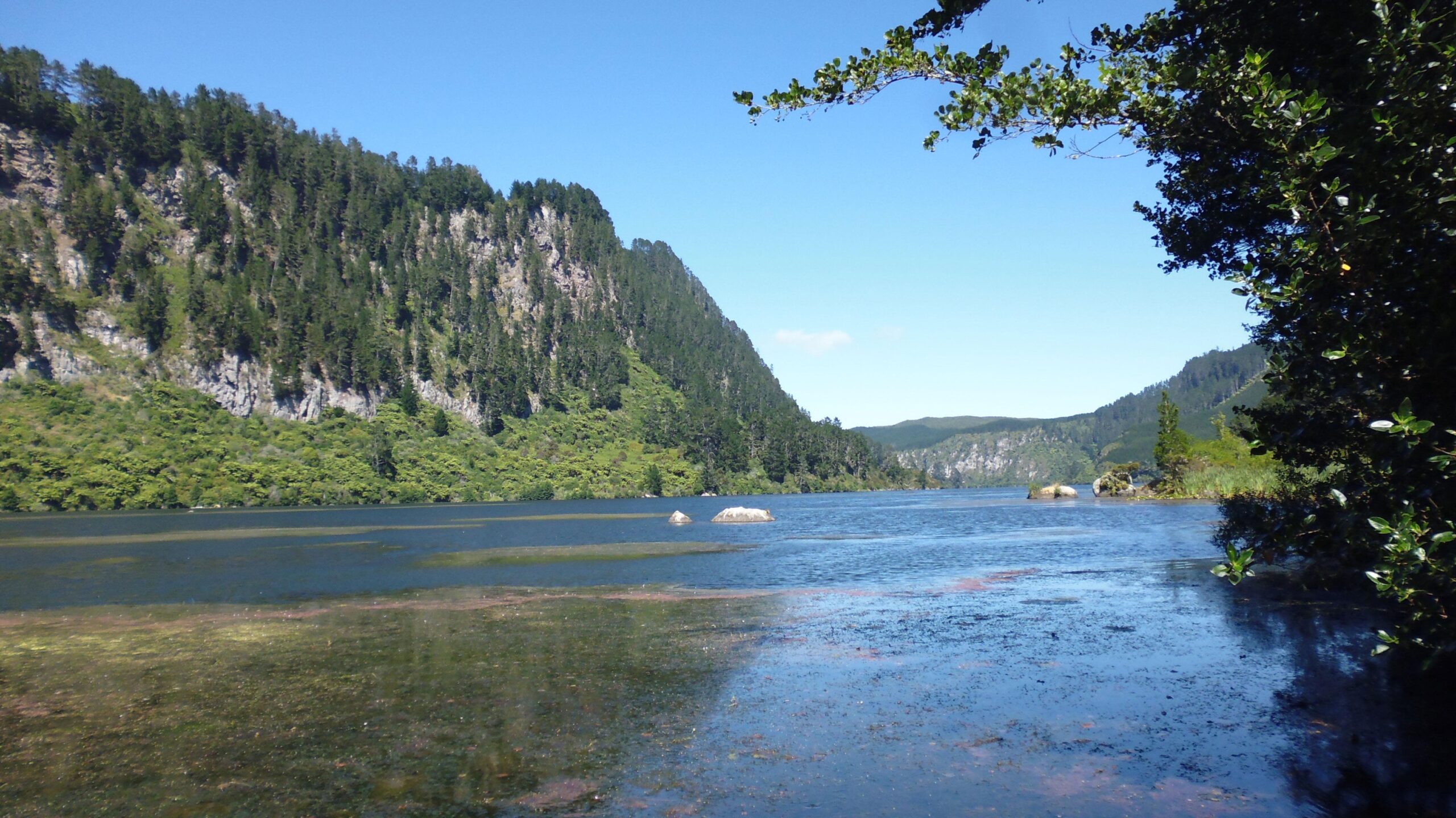 A serene landscape featuring a tranquil lake surrounded by lush green hills and towering cliffs under a clear blue sky. The water reflects the greenery and rocks that dot the shore, creating a peaceful natural scene. Waikato River Trails: 5 Whakamaru mountain bike trail.