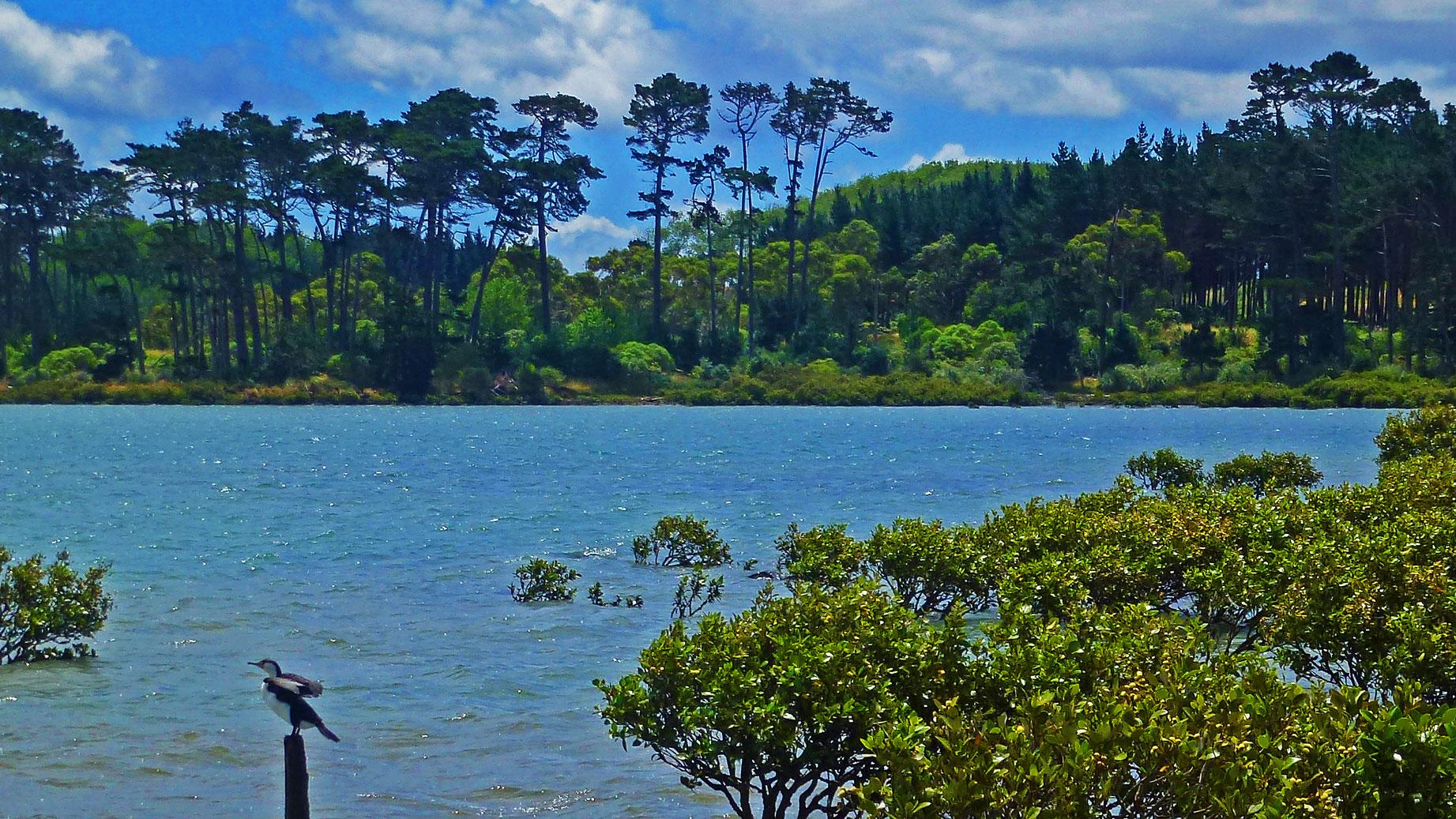 A serene landscape featuring a calm body of water surrounded by lush greenery, with a backdrop of tall trees under a partly cloudy blue sky. A bird is perched on a post at the water