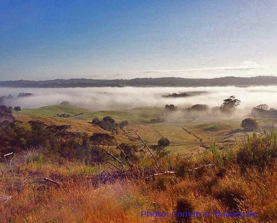 A panoramic view of rolling hills covered in mist, with patches of green grass and scattered trees. The sun illuminates the landscape, casting a warm glow over the fields, while a foggy layer hangs low in the valleys. The sky is clear with a hint of blue, creating a serene and tranquil atmosphere. Treasure Island mountain bike trail.