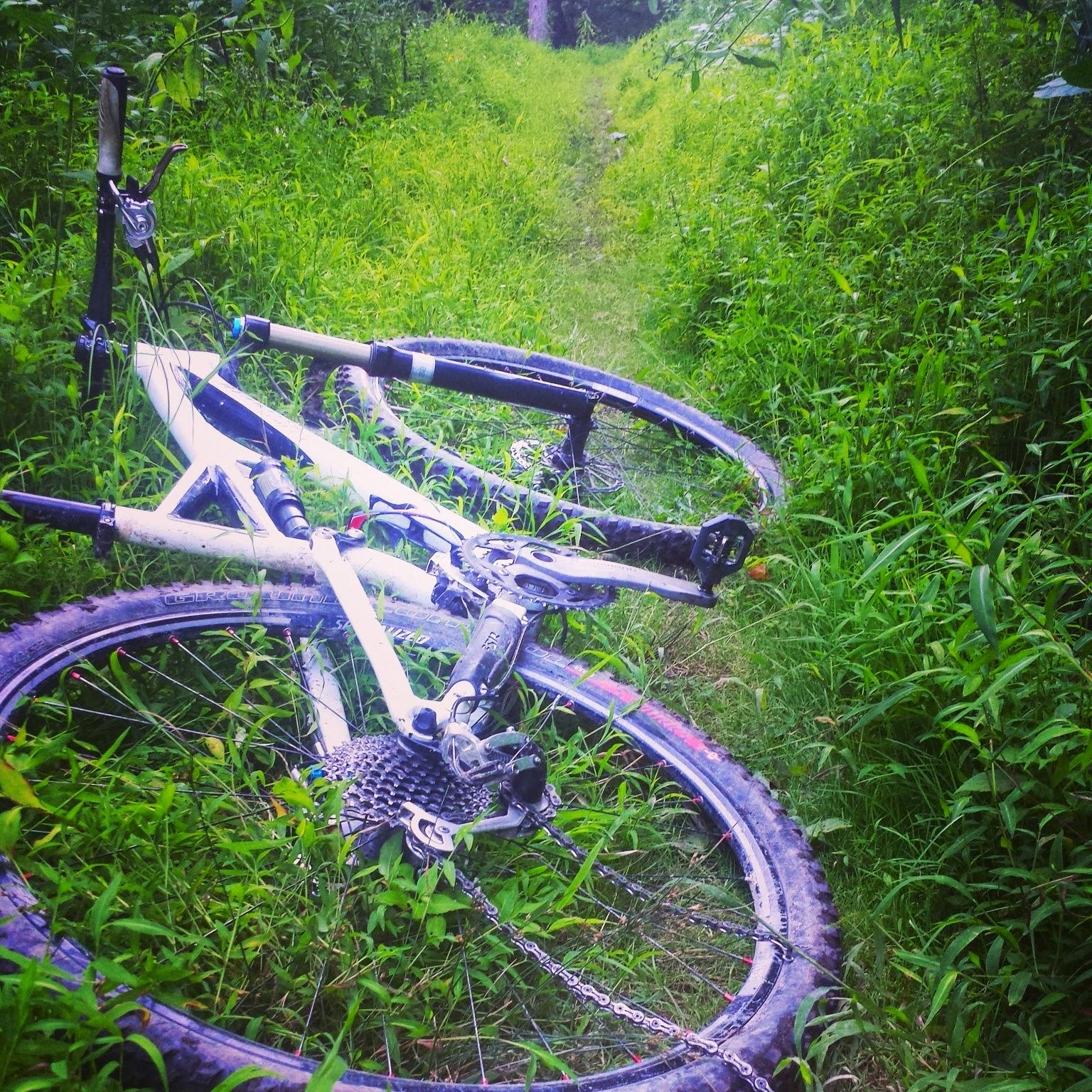 A mountain bike laying on a narrow, overgrown trail surrounded by green grass and foliage. The bike is positioned diagonally across the path, showcasing its wheels and gear setup. Montour Woods mountain bike trail.