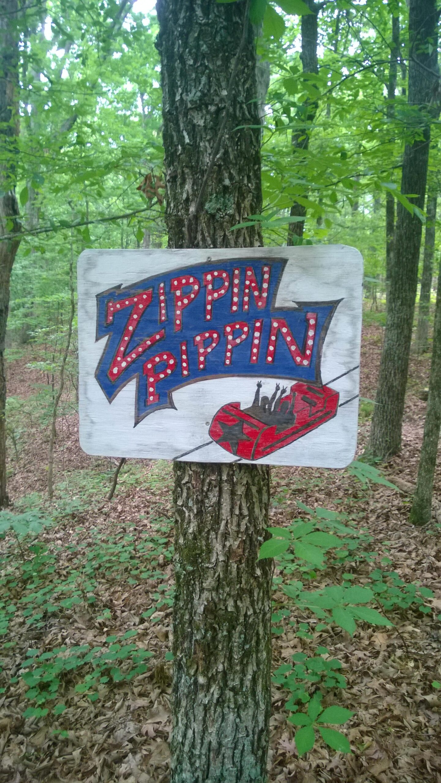 A colorful wooden sign attached to a tree with the words "Zippin Pippin" in bold, decorative letters. The background features a green forest with trees and leaves, creating a scenic outdoor atmosphere. Clear Creek mountain bike trail.
