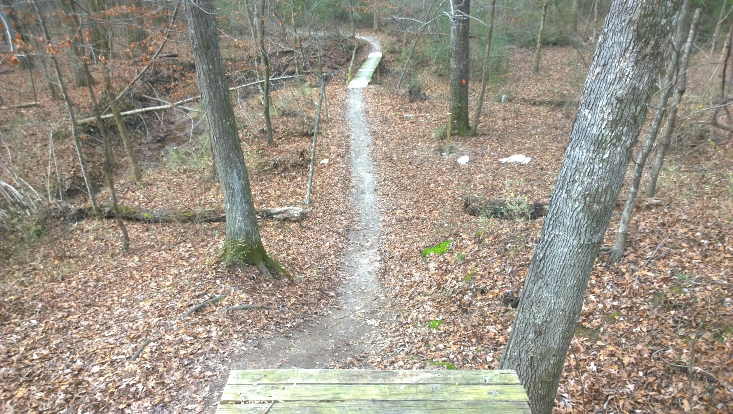 A winding dirt path through a forest, bordered by trees and covered in fallen leaves. A wooden bridge is visible in the distance, leading over a small crevice. The scene depicts a serene natural environment with hints of green vegetation among the brown leaves. Stanky Creek mountain bike trail.