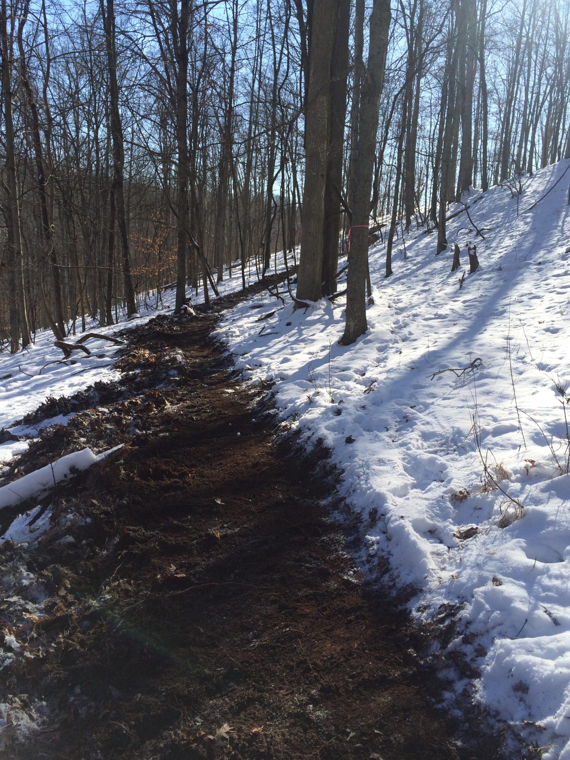 A winding dirt path through a snowy forest, lined with bare trees under a clear blue sky. Snow covers the ground on one side of the path, while the other side shows exposed earth and leaves. Mountwood mountain bike trail.