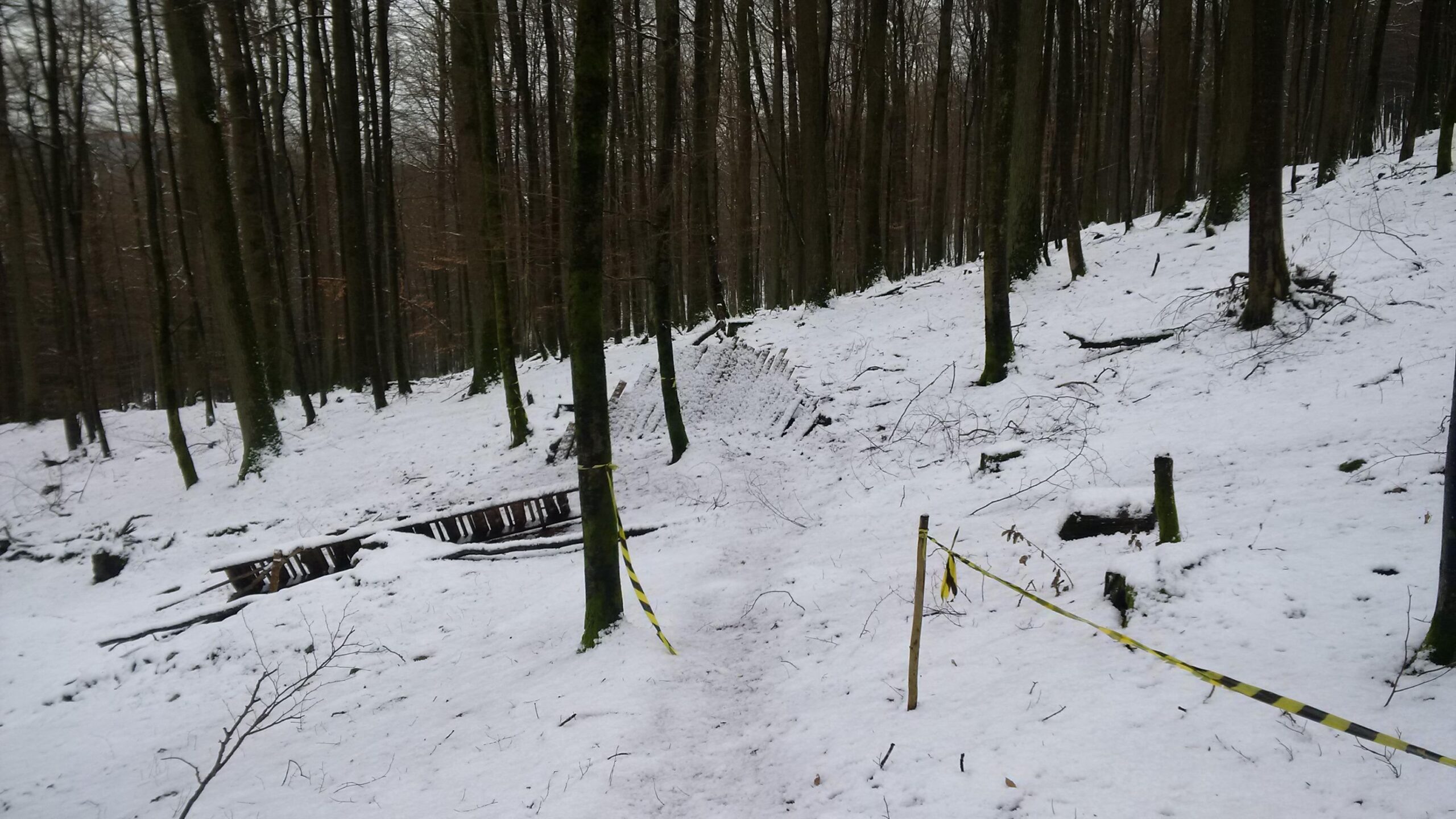 A snowy forest scene featuring tall trees in a winter setting. A path leads through the snow, with caution tape marking off an area to the side. Fallen branches and logs are visible on the ground, creating a natural atmosphere. The overall mood is quiet and serene, typical of a snowy woodland. Technikparcours mountain bike trail.
