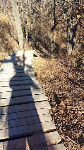 A shadow of a person cast on a wooden boardwalk surrounded by trees and dry foliage in a natural setting. Thunderbird Lake Clear Bay mountain bike trail.