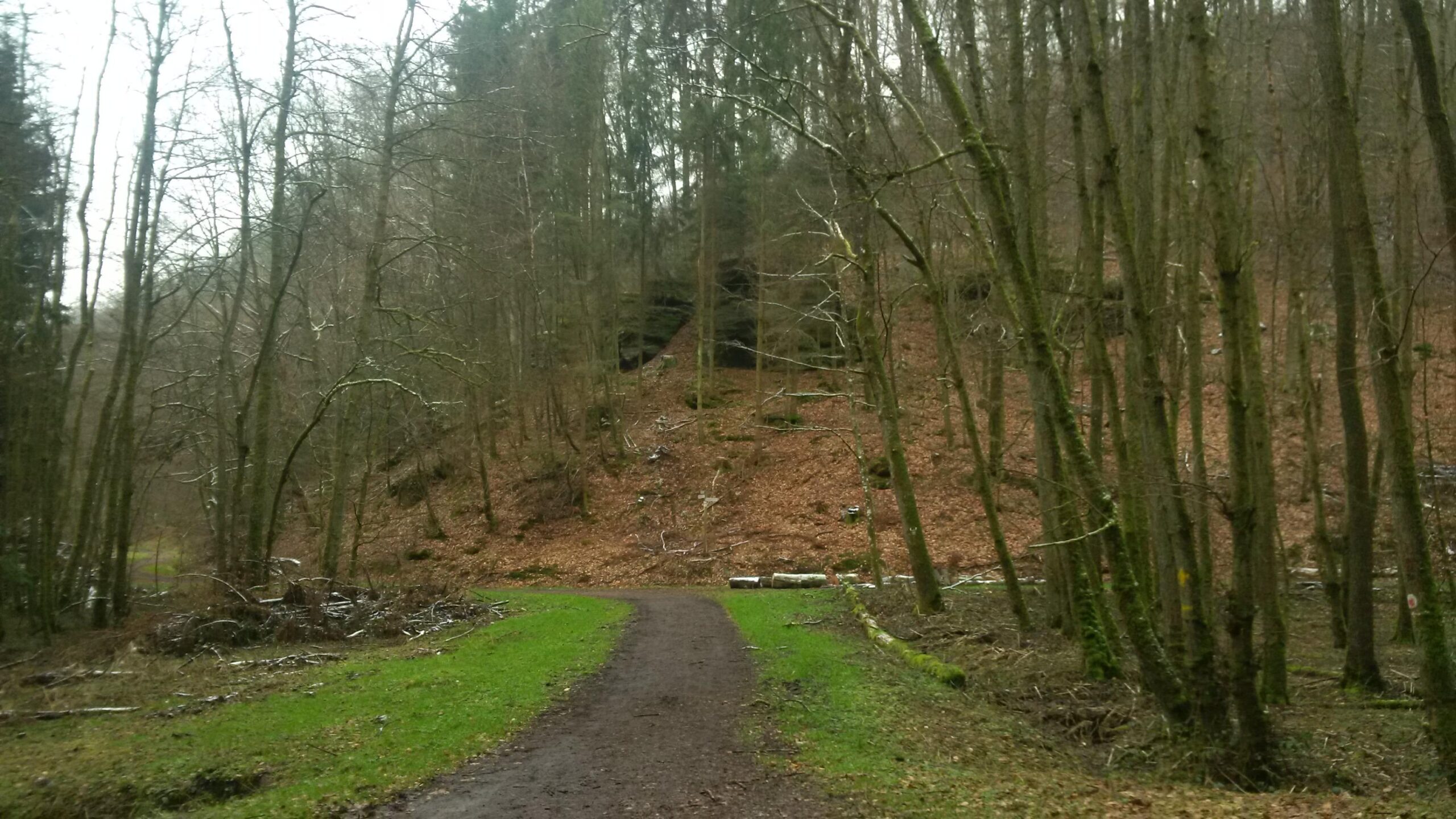 A winding dirt path leads through a tranquil forest scene, lined with tall, bare trees. The ground is carpeted with brown leaves and scattered logs, while a slight incline in the background features more greenery. The atmosphere is serene and slightly overcast, creating a peaceful, natural setting. Countess Sonja Bernadotte Way mountain bike trail.