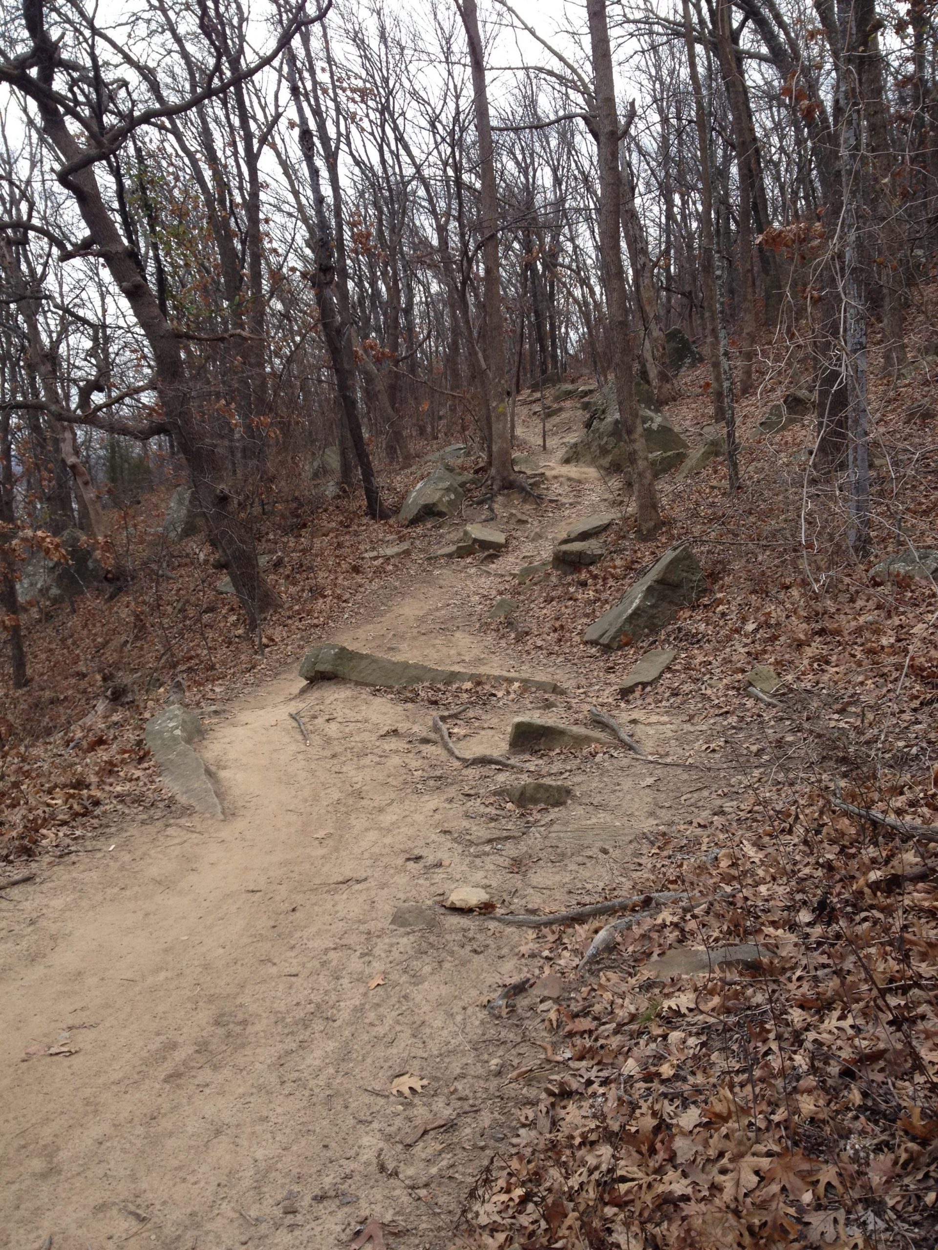 A winding dirt trail surrounded by bare trees and scattered rocks, leading uphill through a forest with fallen leaves on the ground. The scene is set in an overcast atmosphere, indicating a cool, autumn or early winter day. Turkey Mountain mountain bike trail.
