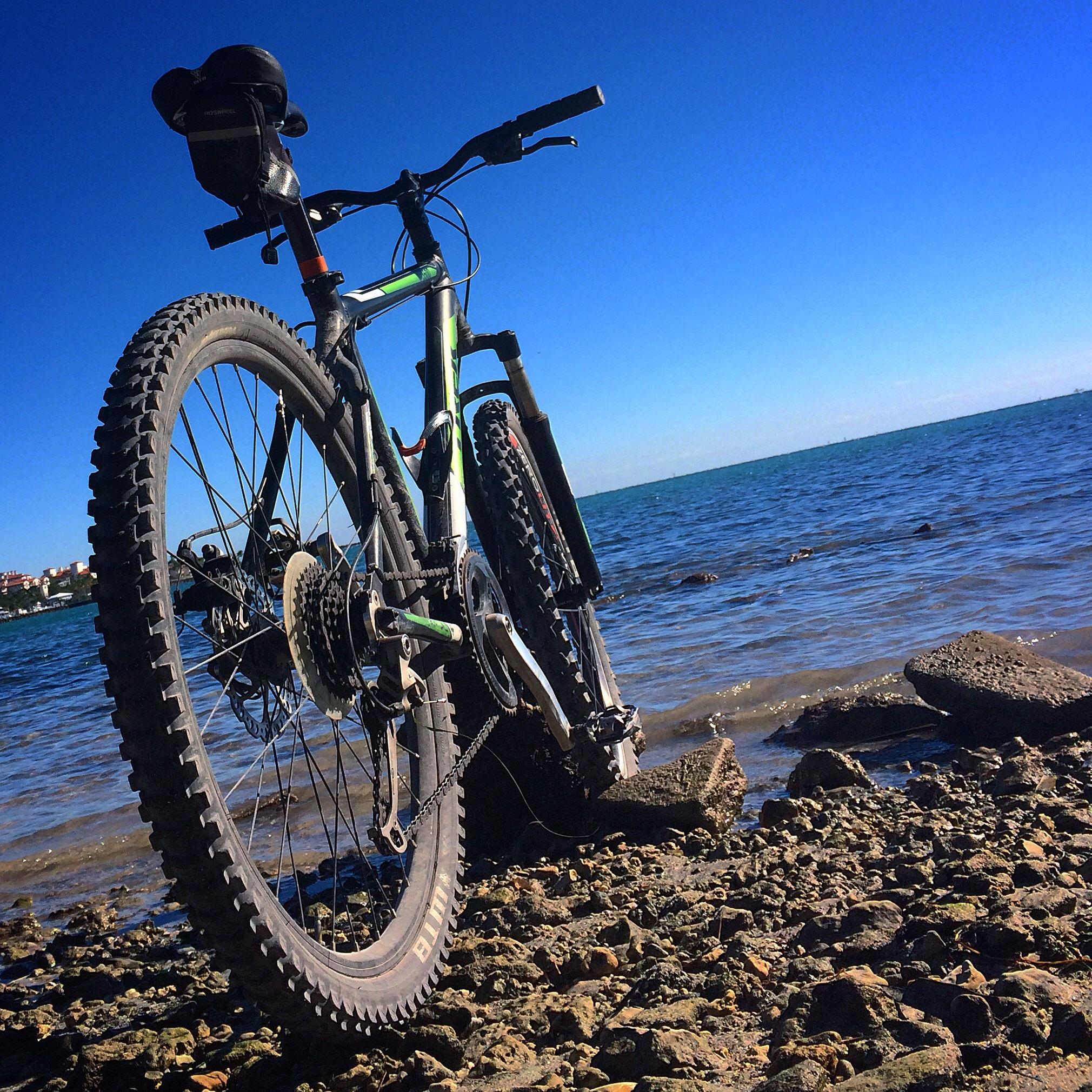 Trek 3500 Disc: A mountain bike leaning against a rock near the shoreline, with clear blue skies and calm water in the background. The bike's tires are muddy, indicating recent use on rugged terrain.