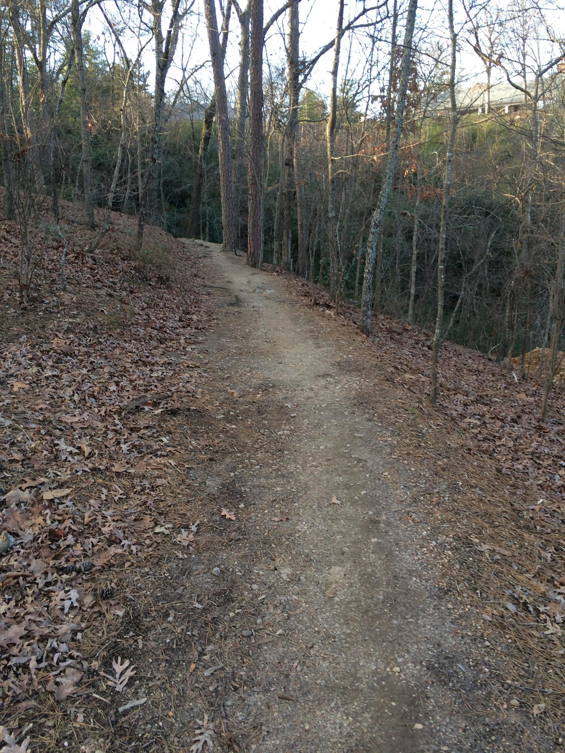 A winding dirt path surrounded by bare trees and fallen leaves on the ground, leading through a wooded area. The scene suggests a tranquil, natural environment during the cooler months. Allsopp Park mountain bike trail.