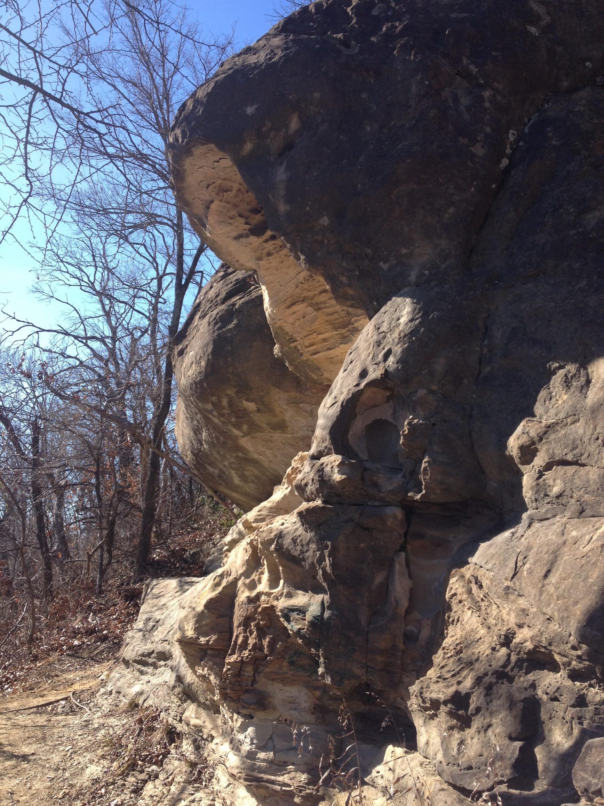A close-up view of a large rock formation along a trail, with rugged textures and layers of stone. Sparse trees with bare branches are in the background under a clear blue sky. Turkey Mountain mountain bike trail.