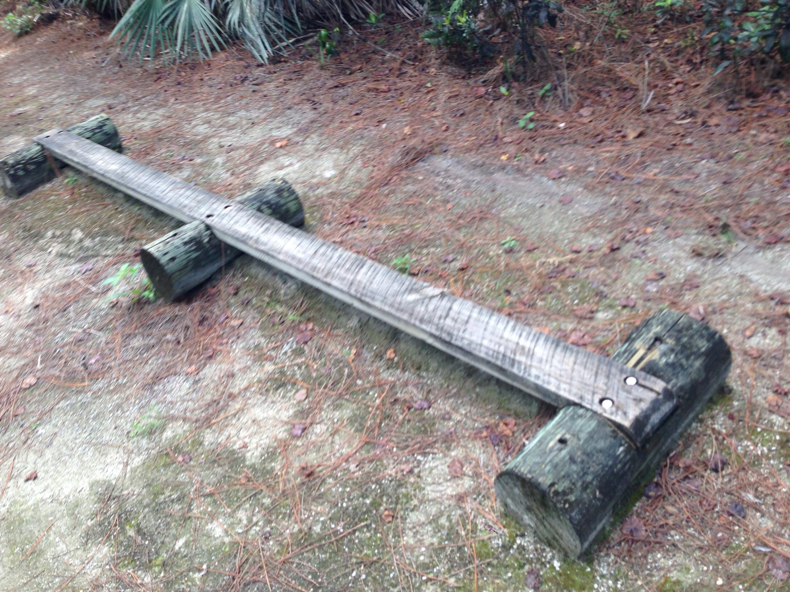 A weathered wooden balance beam resting on two cylindrical wooden supports, surrounded by a natural setting with pine needles scattered on the ground. Preservation Park mountain bike trail.