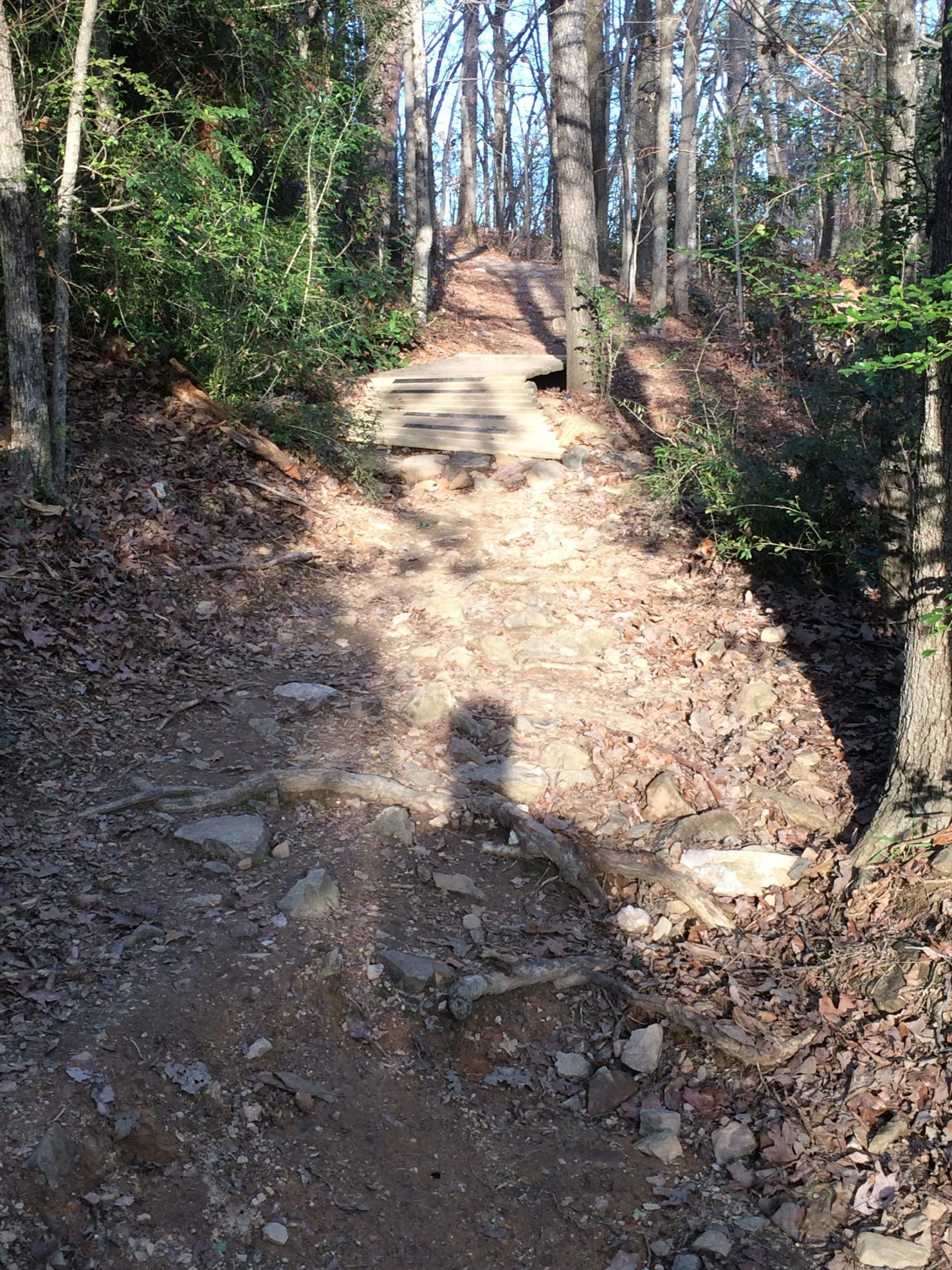 A wooded hiking trail with a wooden bridge crossing a rocky path, surrounded by trees and underbrush. Sunlight filters through the branches, illuminating the uneven terrain and fallen leaves scattered along the ground. Allsopp Park mountain bike trail.