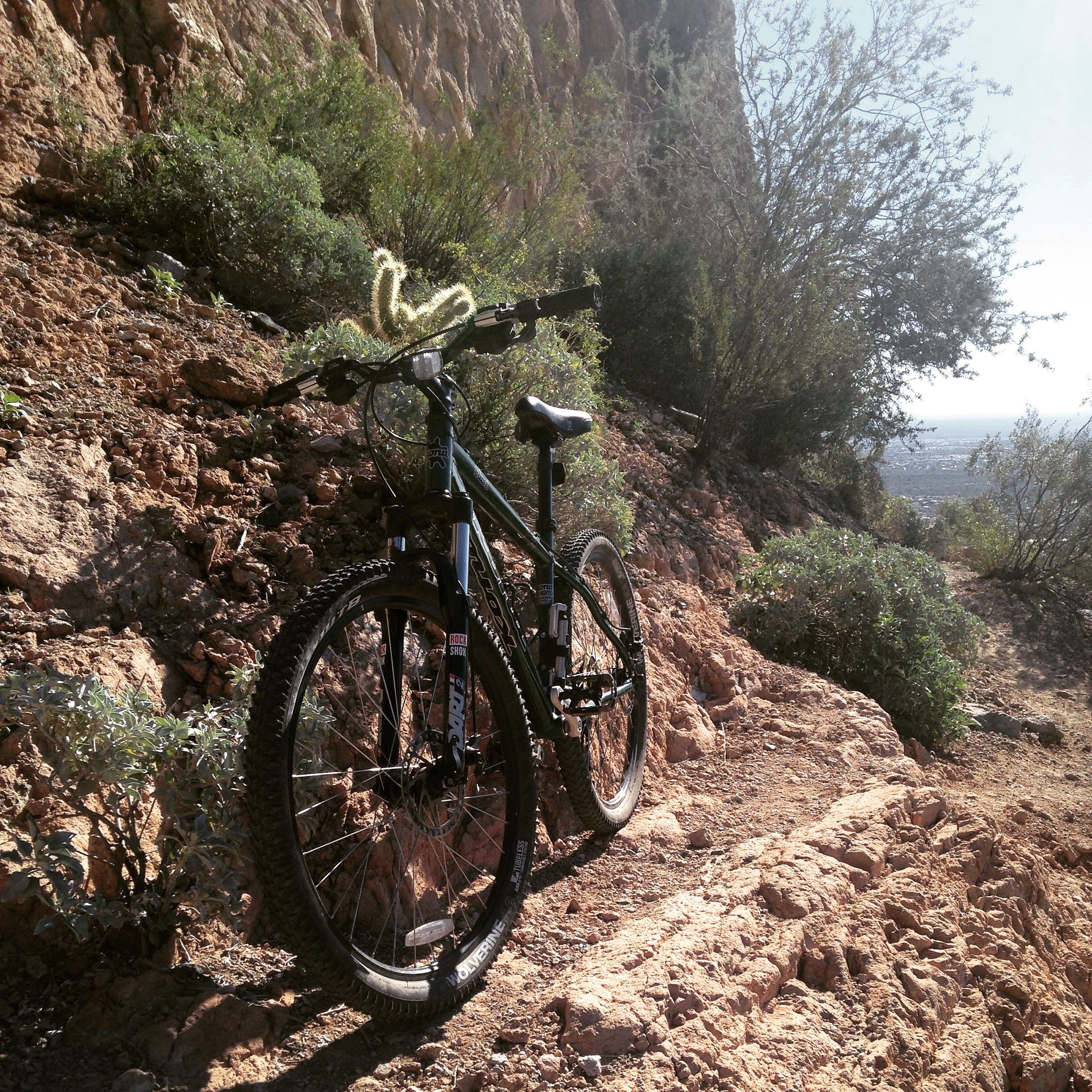 Kona Blast: A mountain bike is leaning against a rocky terrain with sparse vegetation. Sunlight filters through the surrounding plants, casting soft shadows on the ground. The landscape suggests a trail in a desert or mountainous area, with distant views visible in the background.