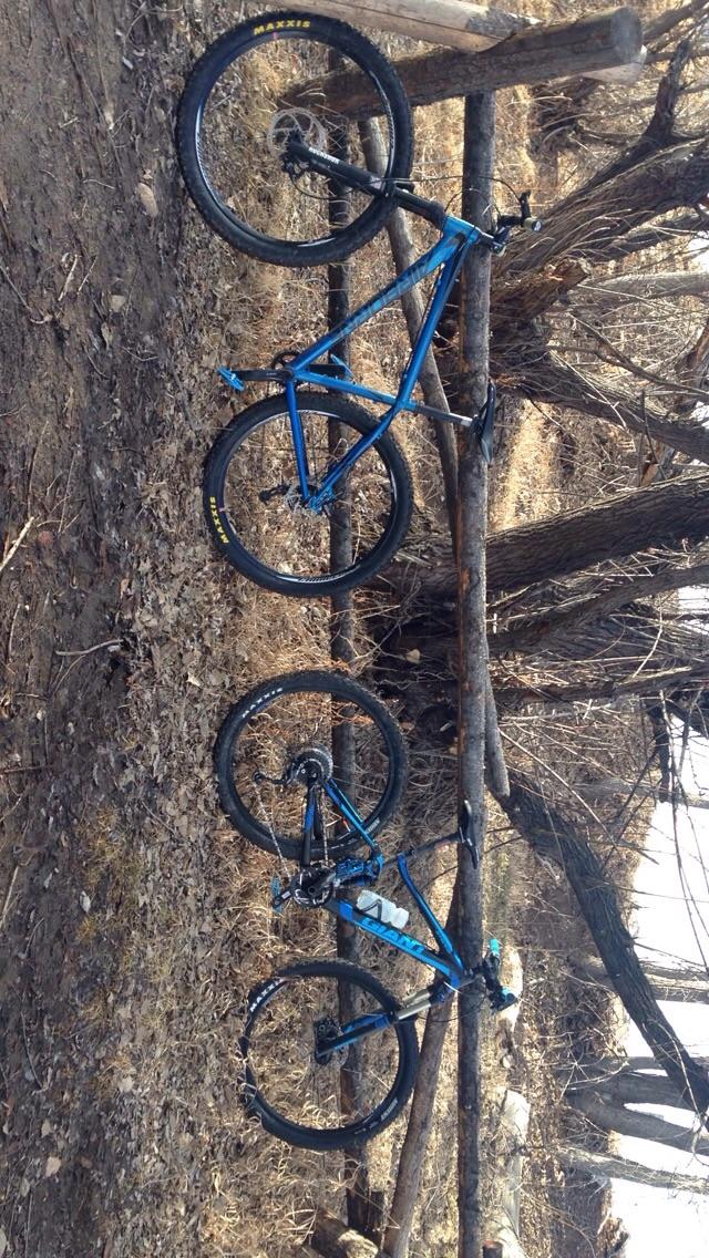 Giant Giant Stance 2: A blue mountain bike parked on a dirt path surrounded by trees and fallen branches, with dry leaves on the ground. The bike's wheels and frame are prominently visible, showcasing a rugged design suitable for off-road riding.