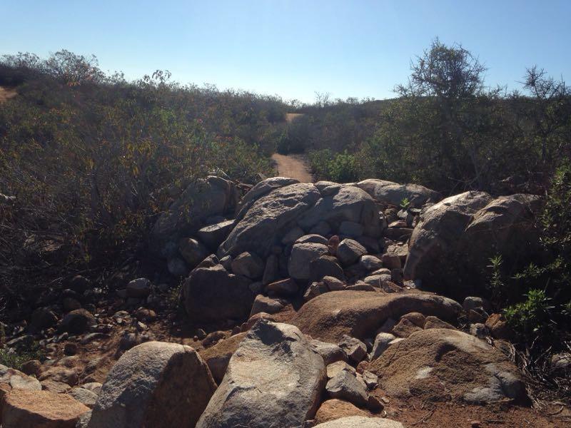 A rugged pathway bordered by rocky terrain and sparse vegetation under a clear blue sky, leading into the distance. Meadowbrook mountain bike trail.