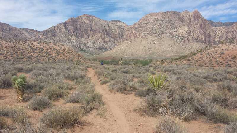 A scenic desert landscape featuring a dirt trail winding through sparse shrubs and cacti, with towering mountains in the background under a partly cloudy sky. Blue Diamond mountain bike trail.