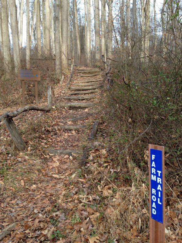 A wooded path with wooden steps leading upwards, surrounded by leafless trees and underbrush. A sign on the left indicates directions, and a blue sign on the right marks the path as "Farm Trail Road." The ground is covered in fallen leaves, suggesting an autumn setting. Susquehanna mountain bike trail.