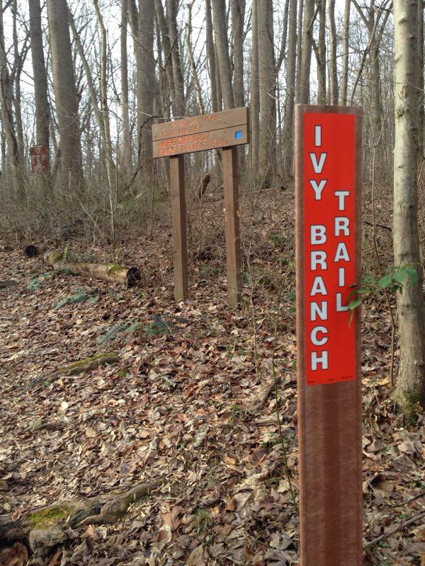 A trailhead sign for the Ivy Branch Trail, featuring prominent red lettering against a wooden post, with a nearby informational sign in the background surrounded by trees and fallen leaves. Susquehanna mountain bike trail.