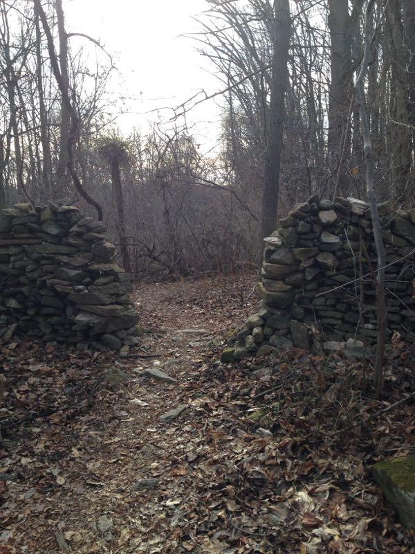 A narrow dirt path lined with fallen leaves leads between two weathered stone walls in a wooded area. The background features bare trees, suggesting a late autumn or early winter setting, with soft natural light filtering through the branches. Susquehanna mountain bike trail.