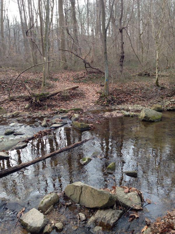 A serene forest scene featuring a shallow stream with smooth rocks partially submerged in the water. The surrounding area is covered with fallen leaves, and bare trees are visible in the background, creating a tranquil, natural atmosphere. Susquehanna mountain bike trail.