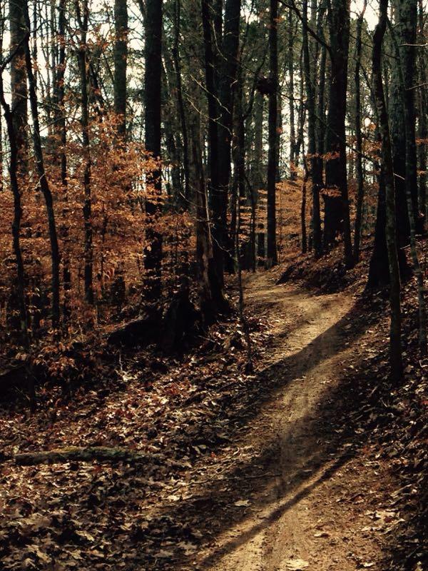  Allatoona Creek Park mountain bike trail.