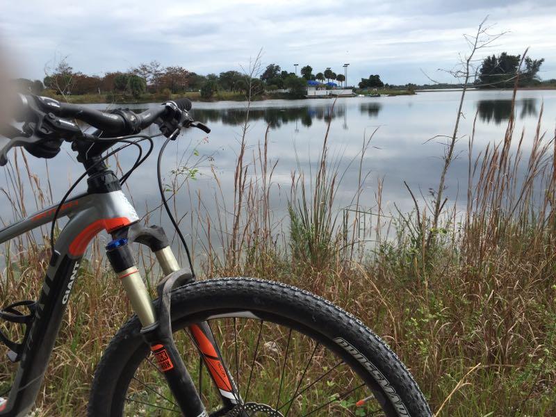 Mountain bike in the foreground with a reflective lake and overcast sky in the background, surrounded by tall grasses and trees. Quiet Waters Park mountain bike trail.