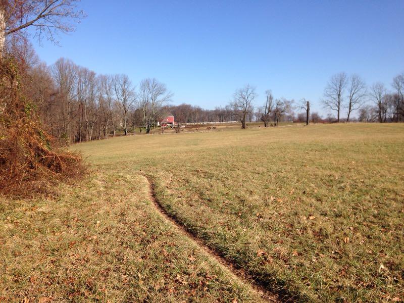 A grassy field with a winding path leading toward a red barn in the distance, surrounded by bare trees under a clear blue sky. Brandywine State Park mountain bike trail.