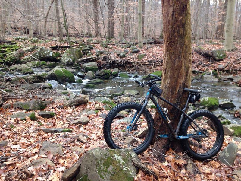 A mountain bike resting against a tree in a wooded area, beside a gently flowing stream. The ground is covered with autumn leaves and scattered rocks, with patches of green moss on some stones. The trees are bare, indicating early spring or late fall. Brandywine State Park mountain bike trail.