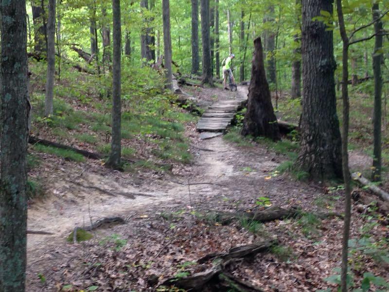 A winding trail in a wooded area, bordered by tall trees and lush, green foliage. A wooden footbridge crosses a small section of the path, which is covered in leaves and dirt. In the distance, a person is seen tending to the trail, wearing light-colored clothing. The scene conveys a sense of tranquility and natural beauty. Brown County Park mountain bike trail.