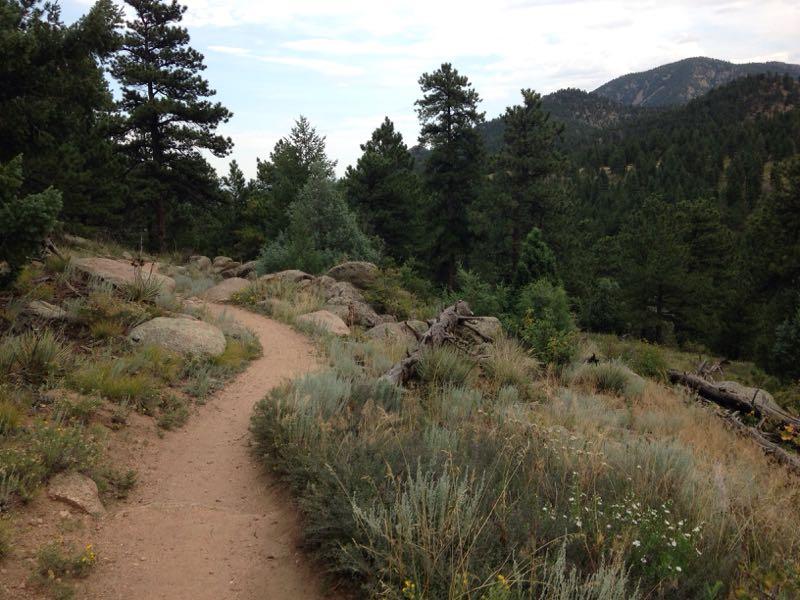 A winding dirt trail surrounded by lush greenery, rocky outcrops, and tall pine trees, set against a backdrop of mountains under a cloudy sky. The landscape features various shrubs and wildflowers along the path, suggesting a serene hiking route in a natural environment. Walker Ranch mountain bike trail.