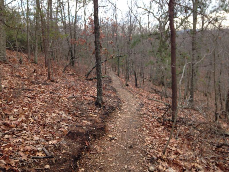 A dirt trail winding through a forest with sparse trees, scattered fallen leaves, and a serene natural landscape on a cloudy day. Liberty Mountain mountain bike trail.