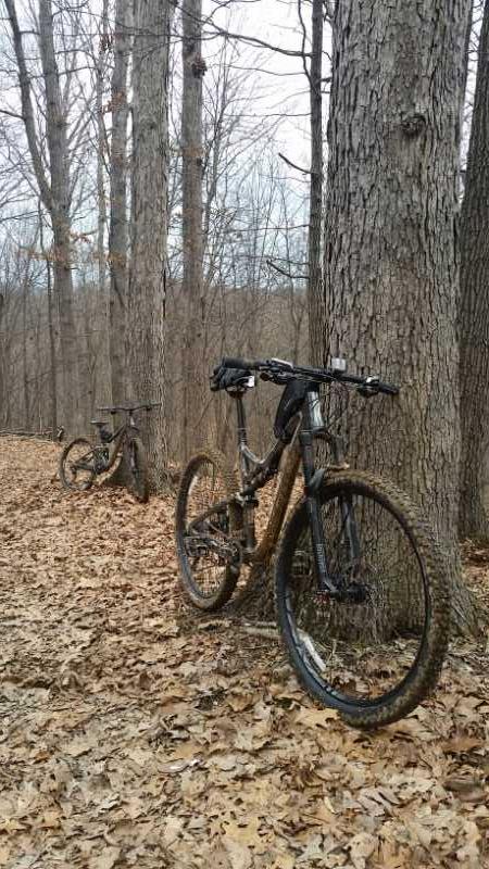 Two mountain bikes, one in the foreground and another in the background, are parked beside a tree on a forest trail. The ground is covered with brown leaves, and the trees are bare, indicating a late autumn or early winter setting. The bikes are muddy, suggesting recent use on a dirt trail. Bear Bottom Loop mountain bike trail.