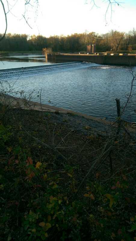 A view of a serene water landscape featuring a small dam, with water spilling over the edge into a calm reservoir. Surrounding vegetation includes various shrubs and trees in the background. The scene is illuminated by soft, natural light, suggesting early evening or late afternoon. Hartshorne Woods Park mountain bike trail.