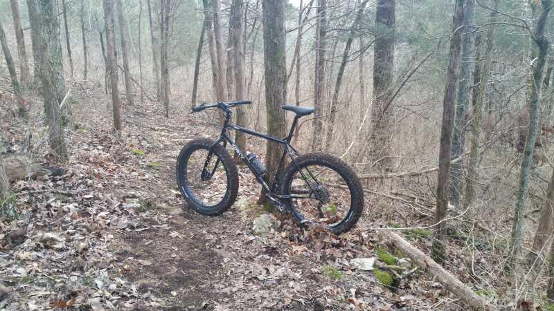 A black mountain bike parked on a forest trail surrounded by trees, with fallen leaves on the ground and a foggy atmosphere in the background. Knucklehead mountain bike trail.