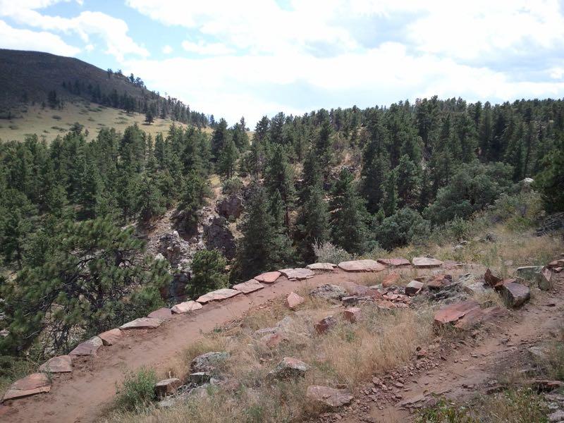 A winding dirt trail lined with stone borders curves through a lush forest of pine trees, leading into a valley surrounded by rolling hills under a partly cloudy sky. Heil Valley Ranch mountain bike trail.