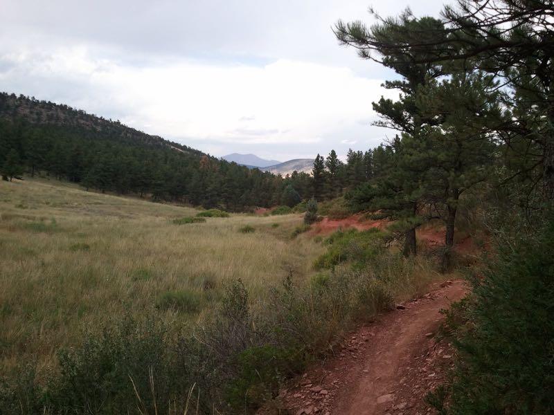 A scenic view of a winding dirt path through a grassy field, surrounded by tall pine trees and rolling hills. The sky is partly cloudy, with distant mountains visible in the background. Heil Valley Ranch mountain bike trail.