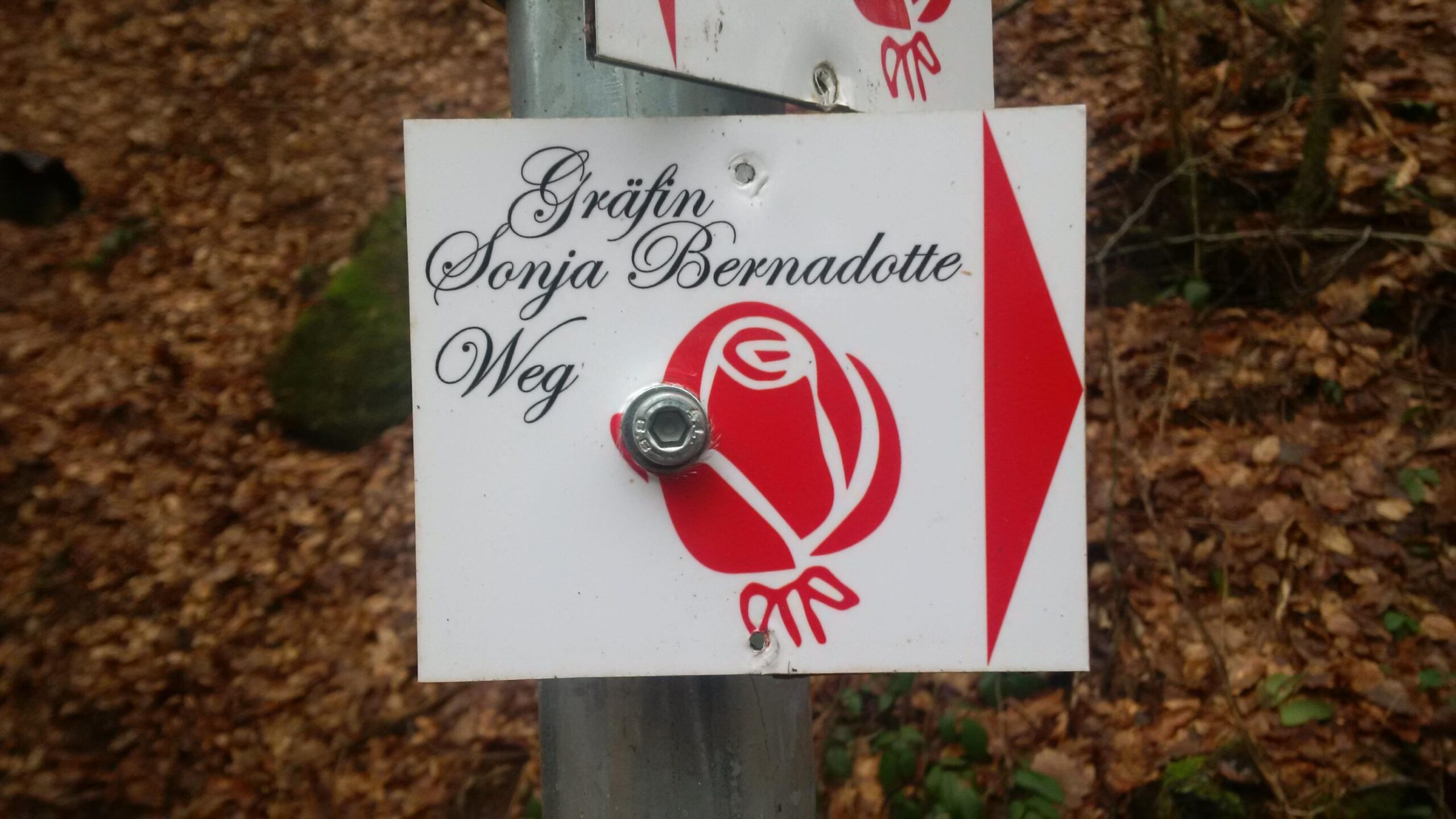 Sign for "Gr&auml;fin Sonja Bernadotte Weg," featuring a decorative red rose and a red triangular design, mounted on a metal post in a wooded area with fallen leaves in the background. Countess Sonja Bernadotte Way mountain bike trail.